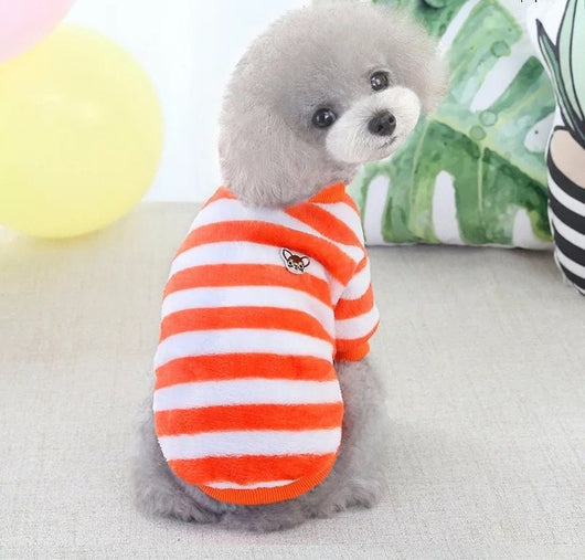 Suéter Abrigador para Perros Pequeños Pomerania - Ropa de Otoño e Invierno