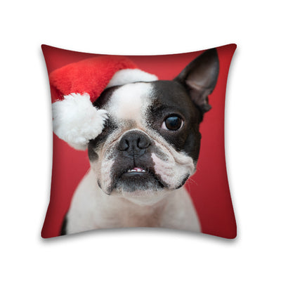 Funda de Almohada para Sofá de Mascota Piel de Durazno Cute Home - Image 27