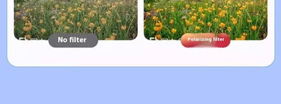 Filtro Polarizado para Fotografía Móvil - Lente HD para Fotos Profesionales - Image 6