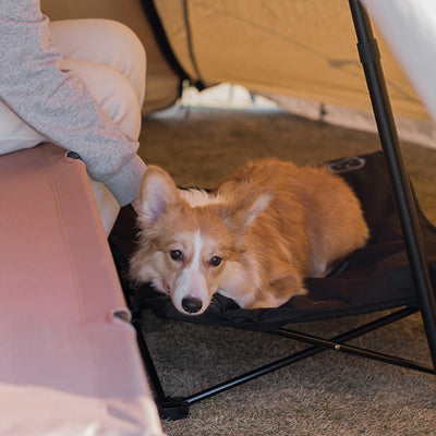 Cama Plegable para Mascotas con Diseño Desmontable y Lavable - Image 4