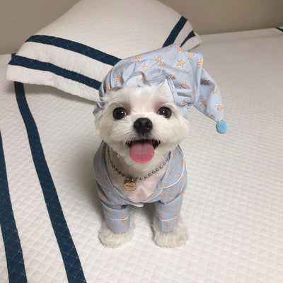 Pijama Estilo Blue Star para Perros - Ropa de Descanso Cómoda - Image 4