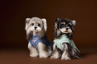 Suéter sin Mangas para Perro Bichón Maltés con Cabeza de Oso 3D - Image 19
