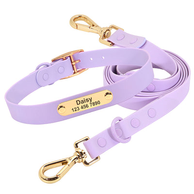 Correa con Collar Mediano para Perros Teddy - Image 3