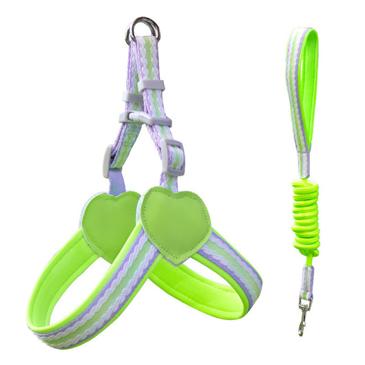 Arnés de Pecho con Correa para Pasear Perros - Control Seguro y Cómodo - Image 12