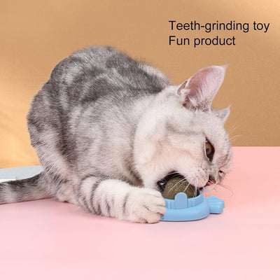 Juguetes de Hierba Gatera Adhesivos con Bolas de Menta para Gatos - Limpieza Dental y Entretenimiento - Image 13