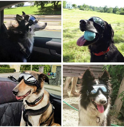 Gafas de Protección Solar UV para Mascotas - Resistentes al Agua y Viento - Image 8
