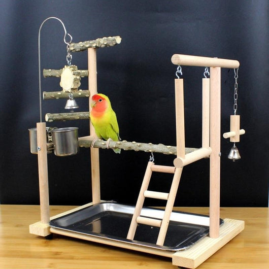 Percha Madera para Loros y Pájaros Exóticos con Diseño Natural - Image 3