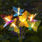 Warm Sun 8 Butterflies