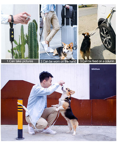 Correa Elástica para Perros Pequeños y Medianos - Image 7