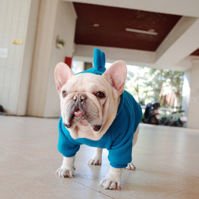 Sudadera Polar Cómoda para Mascotas - Colores Sólidos - Image 4