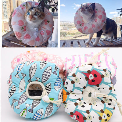 Collar Isabelino Suave para Gatos - Protección Anti-mordida, Lamido y Arañazo - Image 8