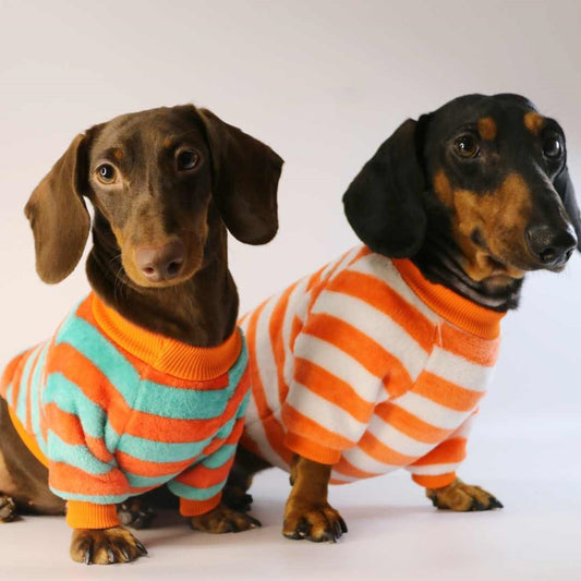Sudadera Casual para Perros y Gatos - Image 2