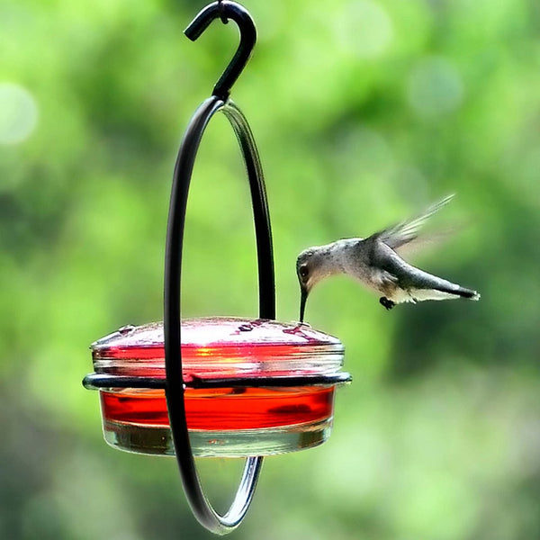Comedero Colgante para Colibríes de Metal Redondo