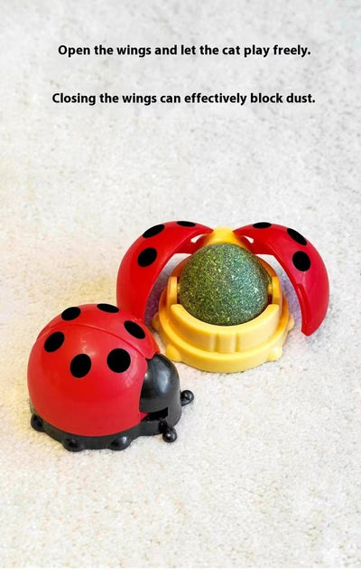 Pelota Interactiva Musical para Gatos con Catnip y Masaje Dental - Image 11