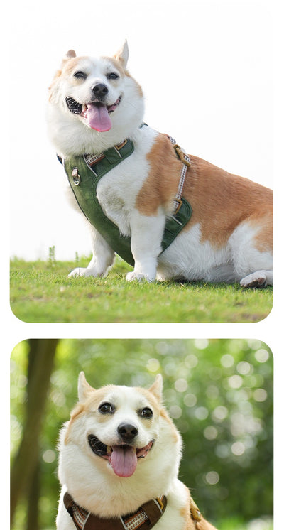 Brown leather pet harness with reflective stripes, adjustable tan buckles, and a gold D-ring on a white background. - Image 14