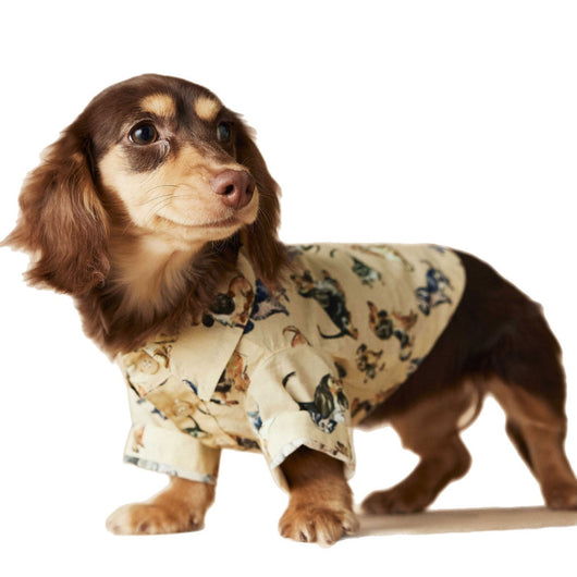 Playera Estampada con Razas de Perros - Dachshund, Schnauzer, Bichón y Maltés - Image 5