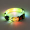 Perro Collar Amarillo USB