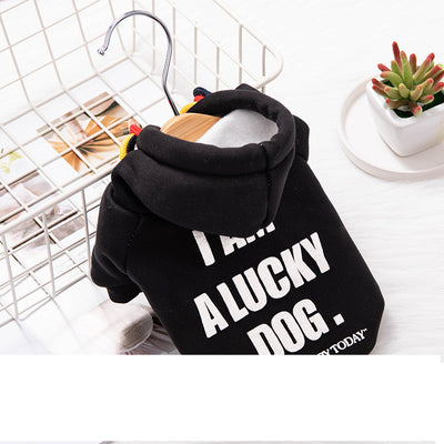 Suéter Abrigado Trendy para Mascotas - Ropa Cómoda para Gatos y Perros - Image 9