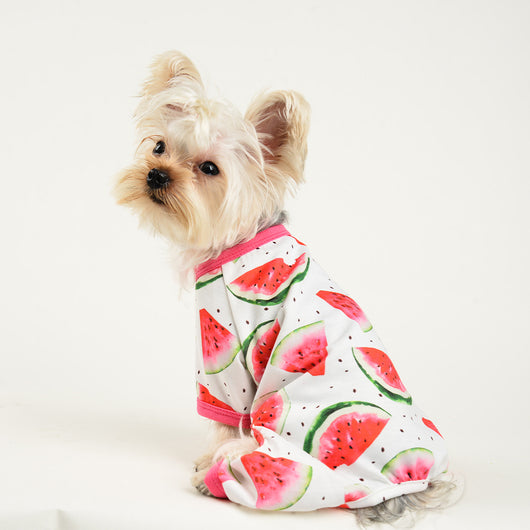 Mono para Perro Estampado Sandía de Cuatro Patas