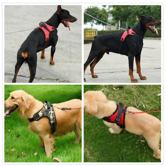 Blue and black pet harness with reflective stitching, a top handle, and red quick-release buckles. - Image 17