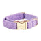 Collar Para Perro XS