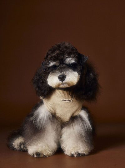 Chaleco Térmico sin Mangas para Perros Schnauzer, Bichón y Razas Pequeñas - Image 35