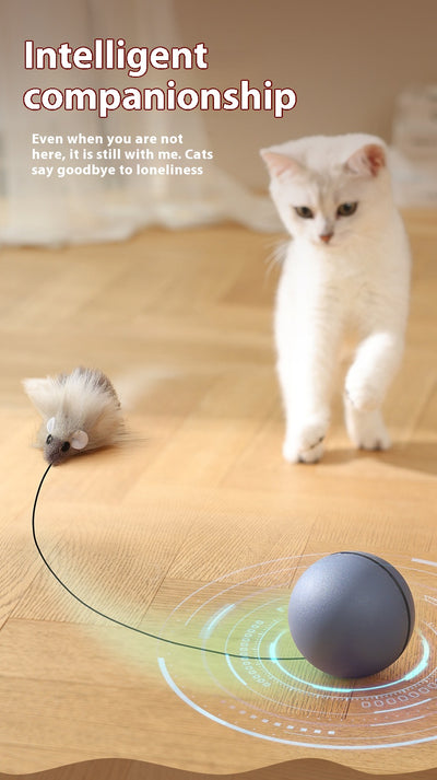 Juguete Interactivo Eléctrico para Gatos y Perros - Pelota Ratón Móvil - Image 9