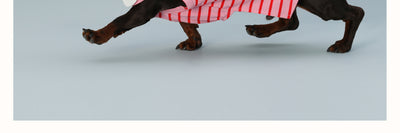 Chaleco sin Mangas para Perro Pequeño Rayas Rojo - Image 16