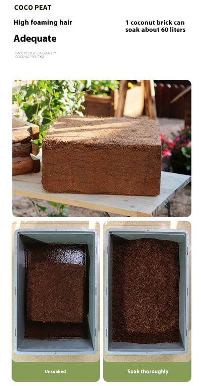 Sustrato de Coco para Plantas Suculentas - Cultivo sin Tierra - Image 16