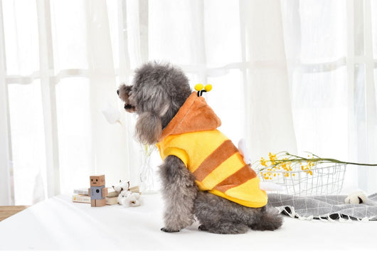 Abrigo Térmico para Perros Medianos y Grandes - Diseño Abeja Otoño Invierno - Image 20