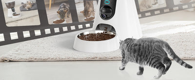 Comedero Automático para Gatos con Cámara 1080P, Visión Nocturna y WiFi 5G - Image 11