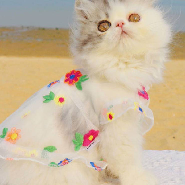Vestido de Encaje con Bordado Floral para Gatos