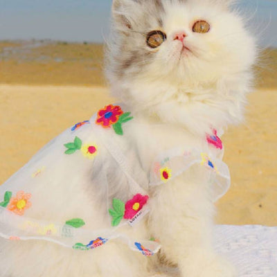 Vestido de Encaje con Bordado Floral para Gatos