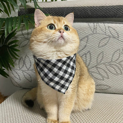 Babero Pañoleta Encaje Gato Estilo Princesa con Decoración - Image 13