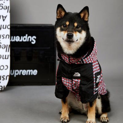 Impermeable para Perros Resistente al Viento y la Lluvia - Image 9
