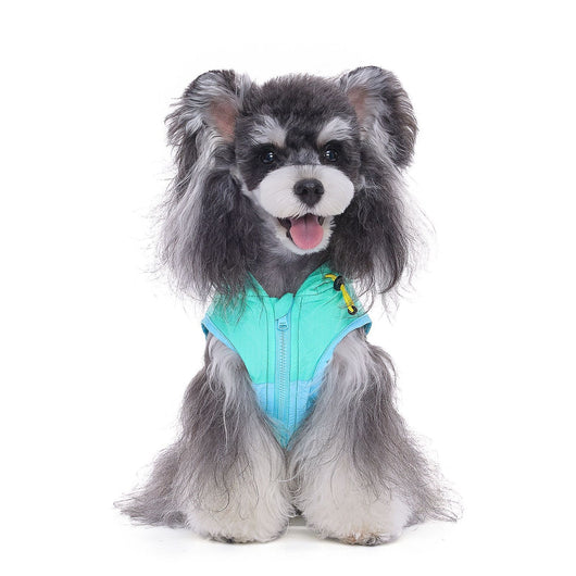 Chaleco de Protección Solar para Perros Pequeños - Bichón, Schnauzer y Razas Similares - Image 6