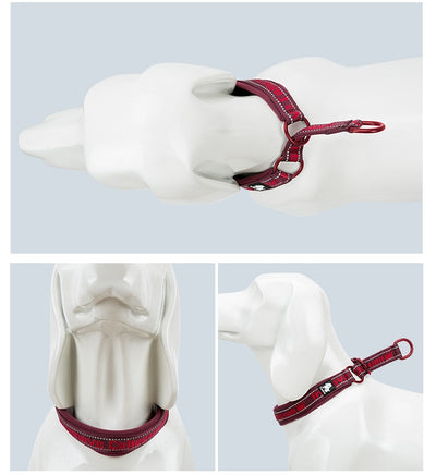 Collar Ajustable para Perro Truelove con Tela de Buceo Reflectante - Image 19