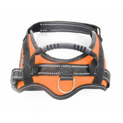 Arnés Pectoral para Perro con Cuerda de Mano - Chaleco Correa de Paseo - Image 7