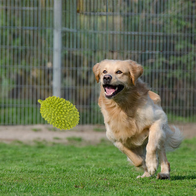Juguete Masticable con Forma de Durian para Perros - Limpieza Dental y Entrenamiento - Image 13