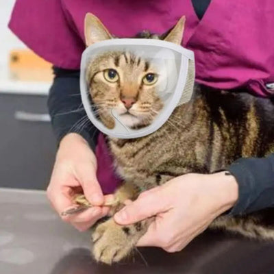 Bozal Respirable para Mascotas - Perros y Gatos Baño y Aseo - Image 6