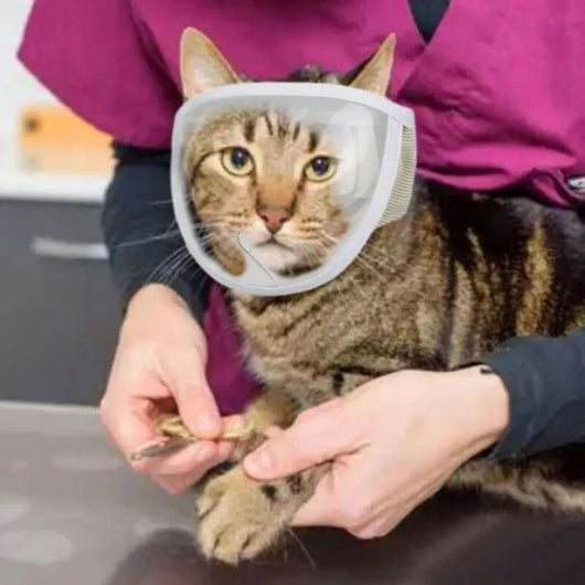 Bozal Respirable para Mascotas - Perros y Gatos Baño y Aseo - Image 6