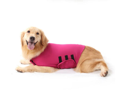 Ropa de Confort para Ansiedad en Perros - Image 11