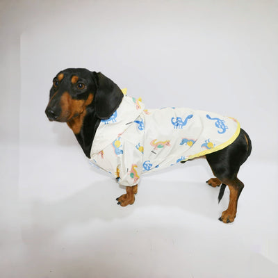 Ropa para Mascotas Dinosaurio Resistente al Agua - Primavera y Verano - Image 4