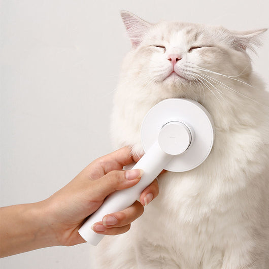 Peine Deslanador para Gatos - Removedor de Pelaje Flotante - Image 11