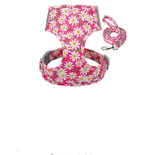 Collarín y Correa Pectoral de Soporte - Image 4