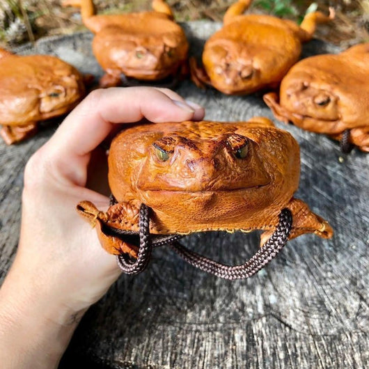 Billetera Integral Toad de Caña de Azúcar