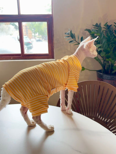 Ropa Transpirable para Gatos - Diseño Ligero y Fresco - Image 12
