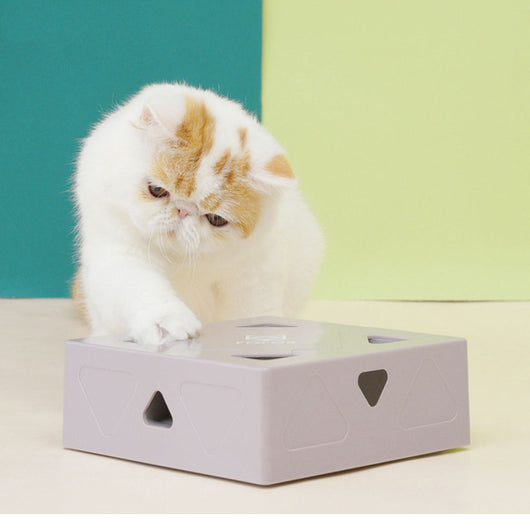 Juguete Interactivo Inteligente para Gatos con Cabezales Reemplazables y Plumas - Image 7