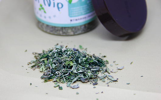 Polvo Depilatorio de Té de Catnip - Bola 280ML - Image 9