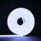 Neon White Light 6000K